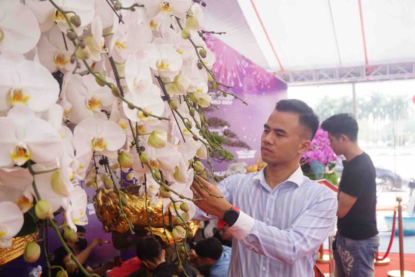 kinh doanh tết ngô văn nghiệp lania phạm thành long