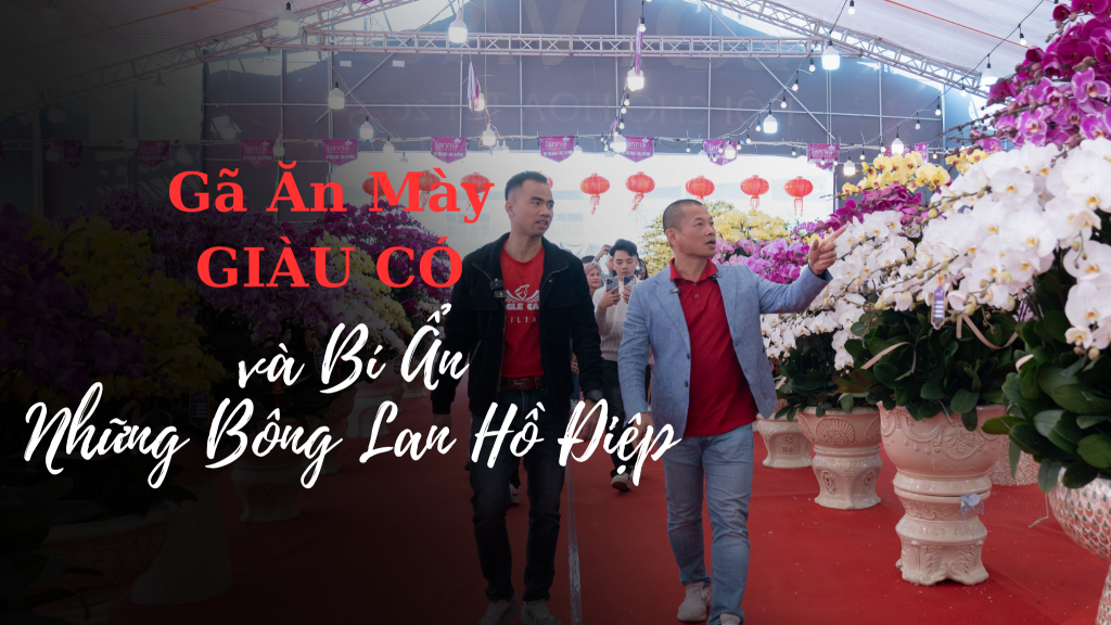 Gã Ăn Mày Giàu Có và Bí Ẩn Những Bông Lan Hồ Điệp đối tác chiến lược