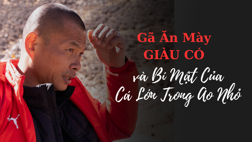 Gã Ăn Mày Giàu Có và Bí Mật Của Cá Lớn Trong Ao Nhỏ thị trường ngách