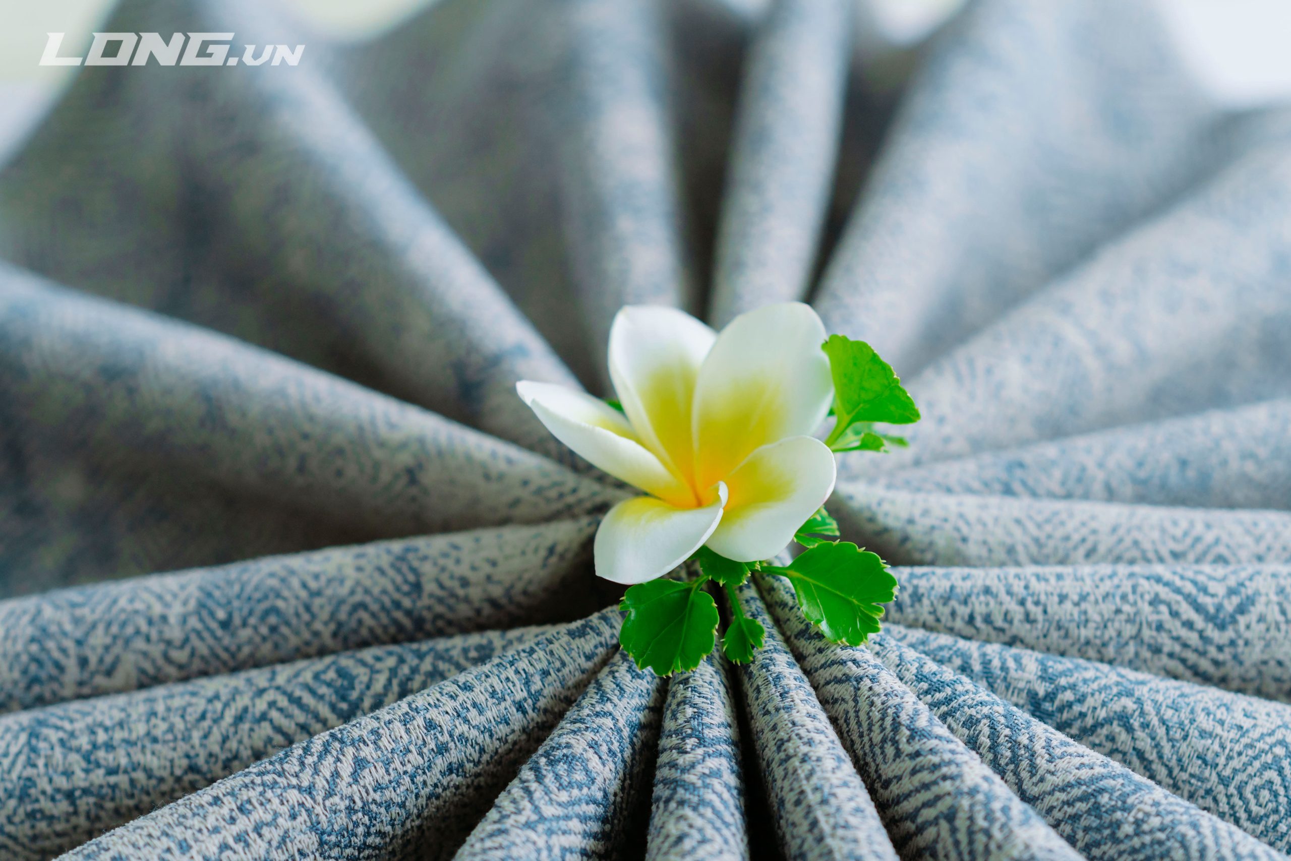 sức mạnh của ngôn từ