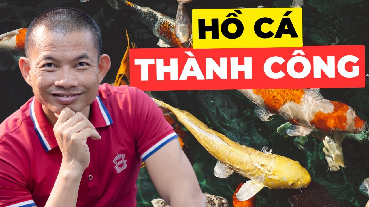 Hồ Cá Koi Phạm Thành Long - Bí Quyết Nuôi Dưỡng Thành Công Từ Tâm Huyết