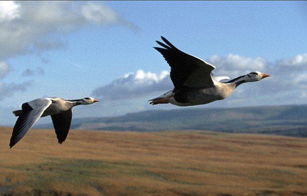 bí quyết nhà lãnh đạo1